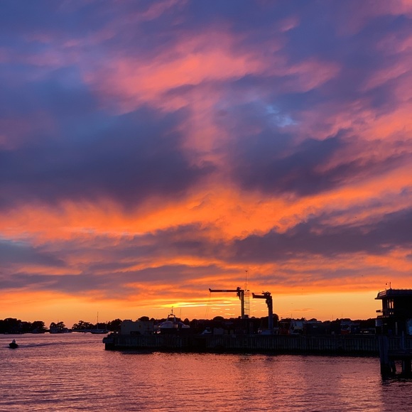 Meet your Posher, Amina - Picture 1 of 1